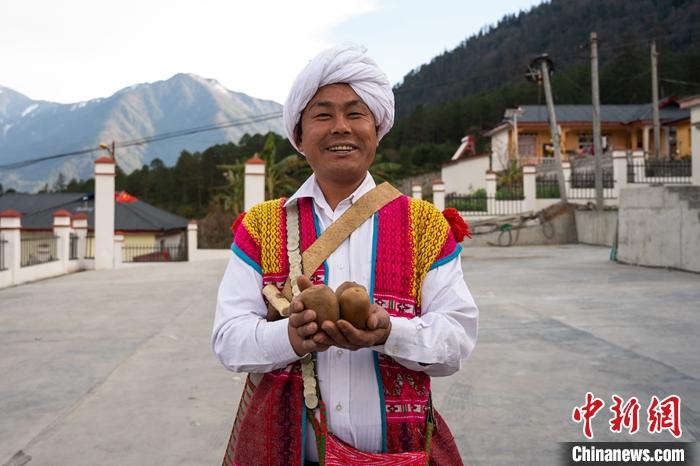 1月29日，京都村委會(huì)主任阿胖正在展示該村種植的獼猴桃。<a target='_blank' ><p  align=