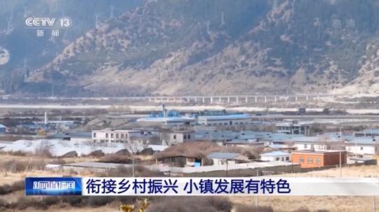 種蘑菇、養(yǎng)駱駝...。。特色產(chǎn)業(yè)助力鄉(xiāng)村振興走新路