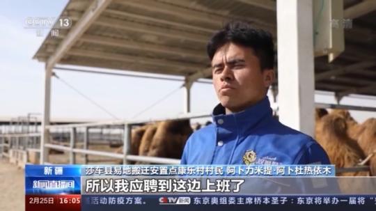 種蘑菇、養(yǎng)駱駝...。。特色產(chǎn)業(yè)助力鄉(xiāng)村振興走新路