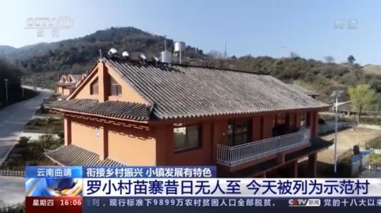 種蘑菇、養(yǎng)駱駝...。。特色產(chǎn)業(yè)助力鄉(xiāng)村振興走新路