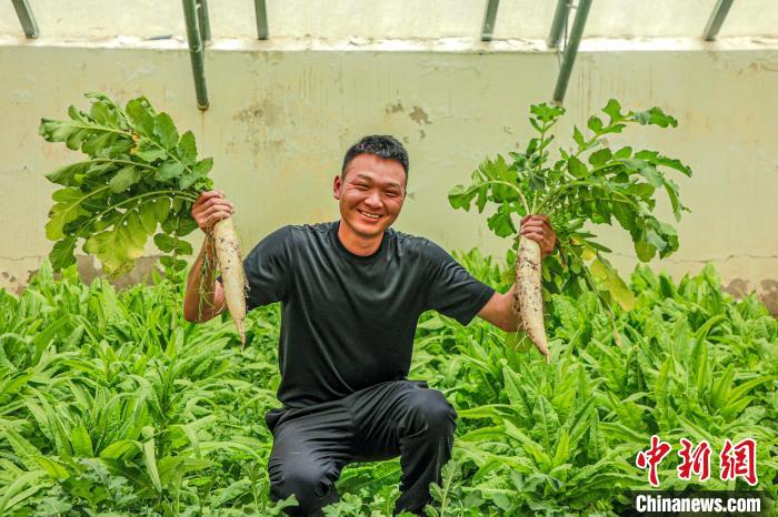 西藏阿里門士邊境派出所民警兼職大棚種植、豐富牧民餐桌