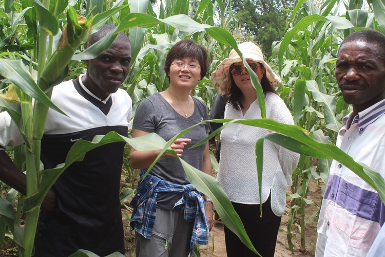 資訊有故事丨小豆子大營(yíng)養(yǎng) 坦桑尼亞民眾愛上“中國飲料”