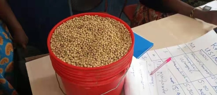 資訊有故事丨小豆子大營(yíng)養(yǎng) 坦桑尼亞民眾愛上“中國飲料”