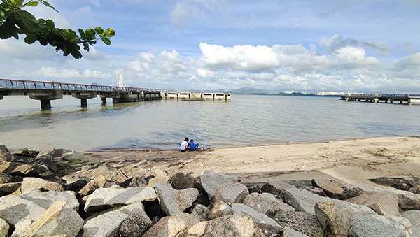 深圳紅樹(shù)林灘涂，留給了孩子們親近自然的空間。人民網(wǎng)記者 李彤?dāng)z