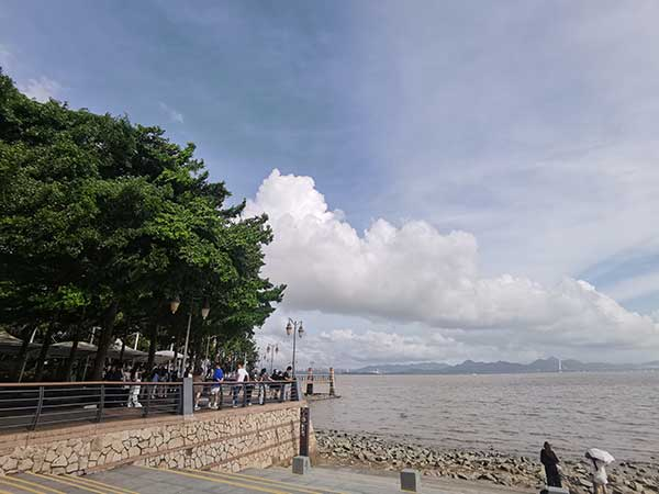 紅樹(shù)林灘涂沿線一角。人民網(wǎng)記者 張素玲攝