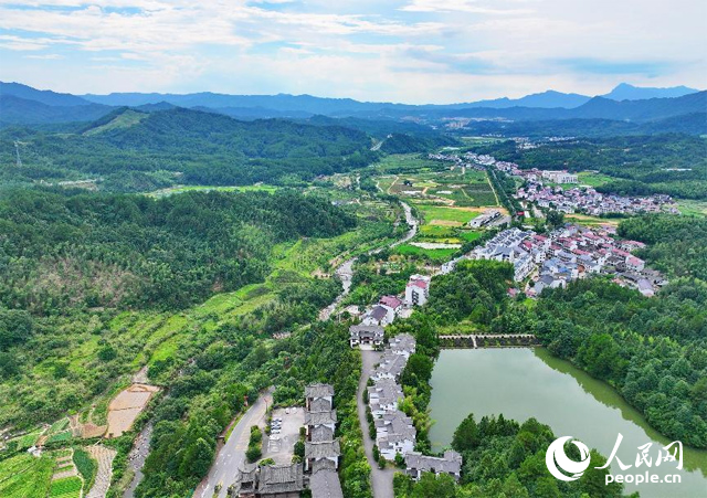 資溪縣森林資源豐富，森林覆蓋率達(dá)87.7%，有林地資源168萬畝。人民網(wǎng) 朱海鵬攝