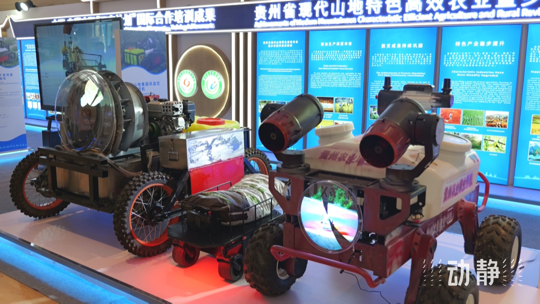 展示成果分享經(jīng)驗(yàn)，中國(guó)—東盟教育交流周深化合作共創(chuàng)未來(lái)！