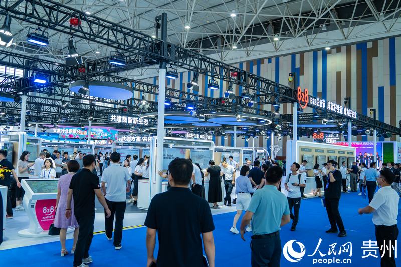 2、2024數(shù)博會(huì)共吸引400余家展商參展。人民網(wǎng) 陽(yáng)茜攝.jpg