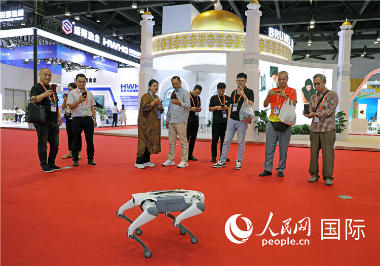 東博會(huì)上，觀眾正在參觀一只機(jī)器狗。綠色能源、新能源汽車、綠色農(nóng)產(chǎn)品等成為本屆東博會(huì)觀眾關(guān)注的焦點(diǎn)。人民網(wǎng)記者 趙益普攝