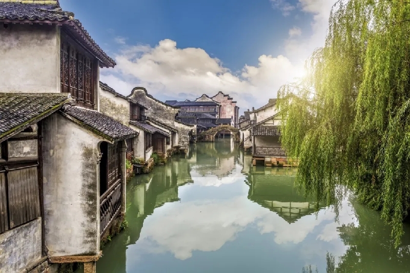 烏鎮(zhèn)動(dòng)觀察｜這個(gè)字，牽起國(guó)際交流互鑒之紐帶