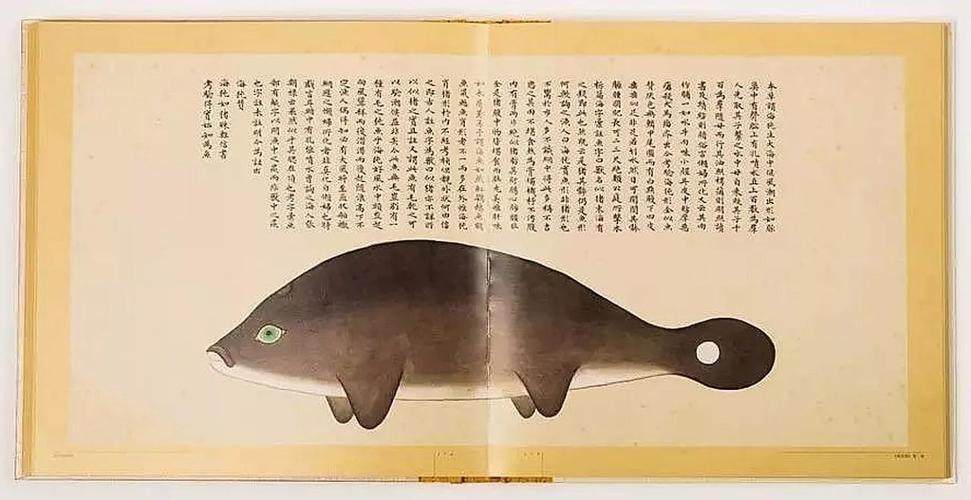 文化中國行 長江之歌丨微笑的江豚，從四千年前“游”來