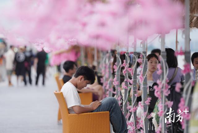 崖口村東堤靠近海岸，成為了熱門(mén)打卡休閑地點(diǎn)。