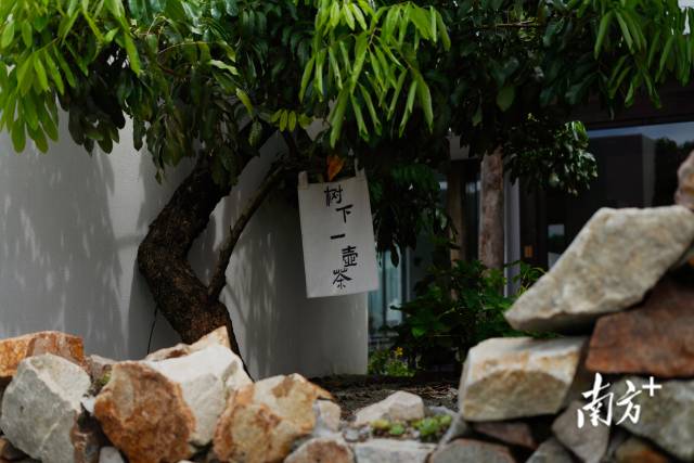 崖口村內(nèi)的文藝民宿。