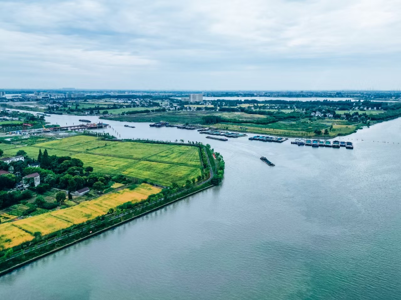 太浦河沿岸好風(fēng)光。吳橫軒攝