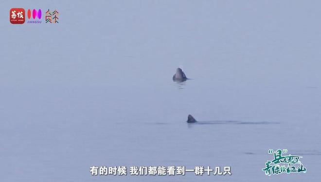 “縣”在起筆 青綠繪江山 | 江灣沐曉：褪去“銹色”走“金線”，繡出生態(tài)與產(chǎn)業(yè)“雙面錦”