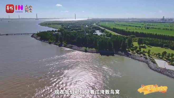 “縣”在起筆 青綠繪江山 | 江灣沐曉：褪去“銹色”走“金線”，繡出生態(tài)與產(chǎn)業(yè)“雙面錦”