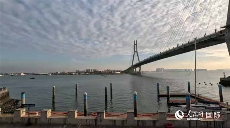 海南省儋州市洋浦大橋。人民網(wǎng) 薩拉·阿芙澤爾攝