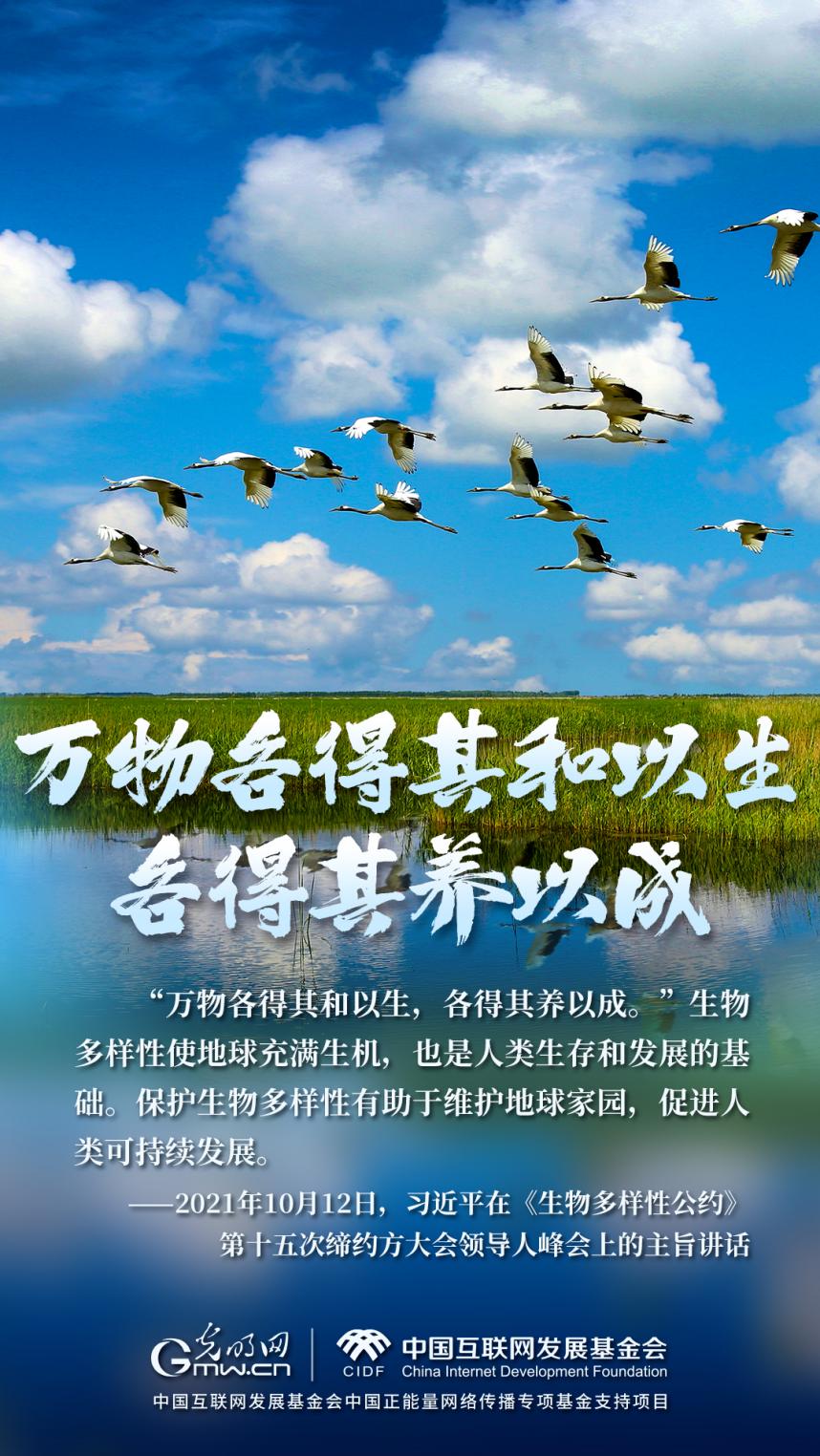 “兩山”理念與美麗中國(guó)丨濕地與候鳥(niǎo)，一場(chǎng)歲歲年年的相守