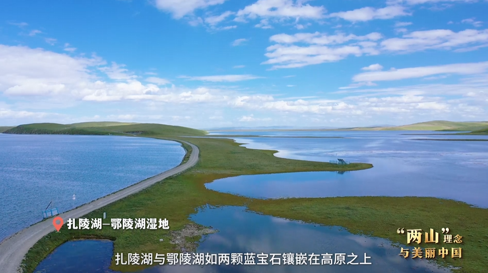 “兩山”理念與美麗中國(guó)丨濕地與候鳥(niǎo)，一場(chǎng)歲歲年年的相守