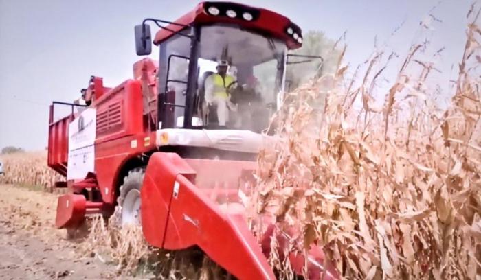 天津“魯班”出海 職教閃亮全球