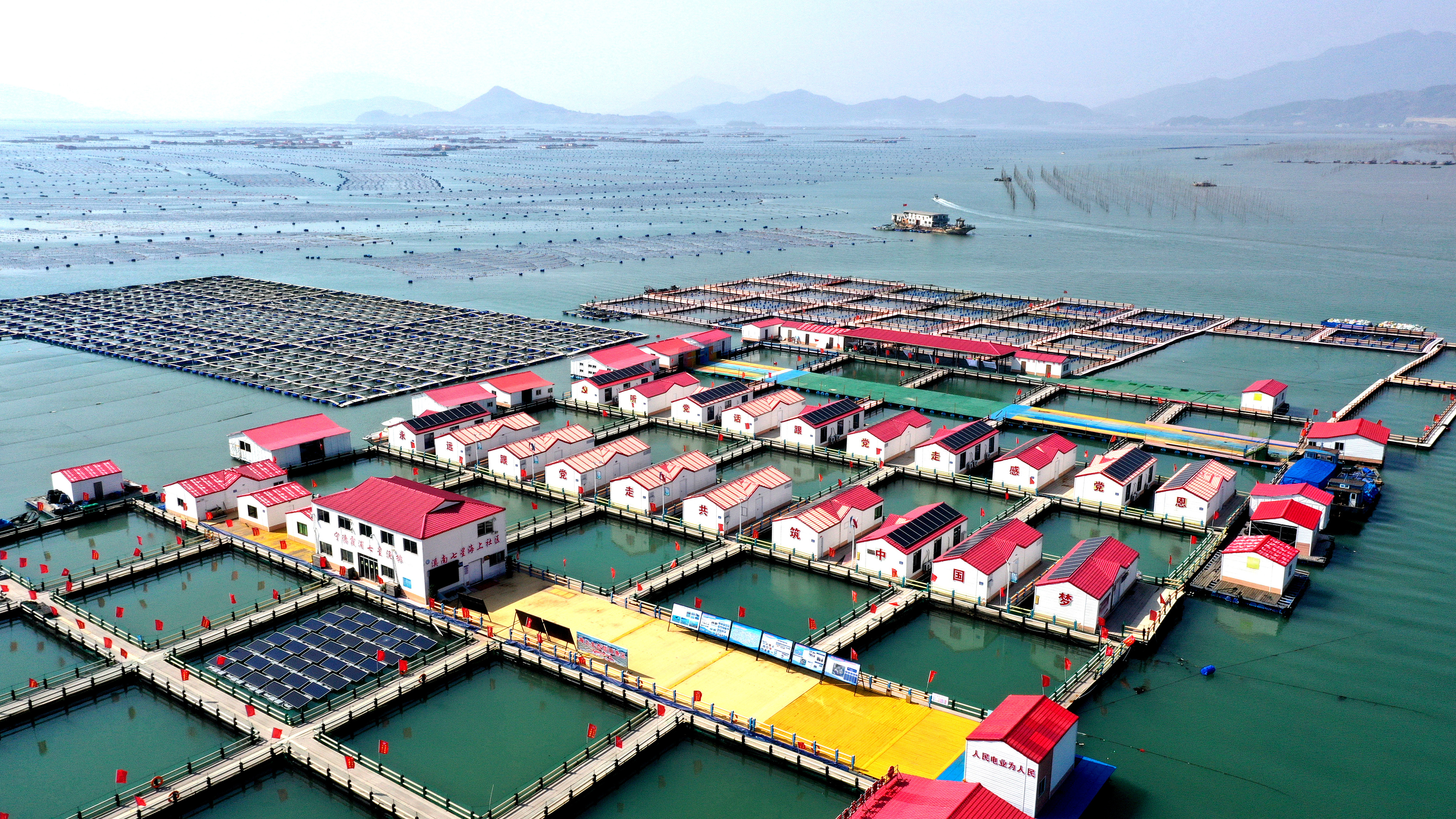 2024年3月20日，福建省寧德市，霞浦縣溪南鎮(zhèn)七星村漁排養(yǎng)殖示范區(qū)，漁民駕駛養(yǎng)殖船進行海參養(yǎng)殖作業(yè)。