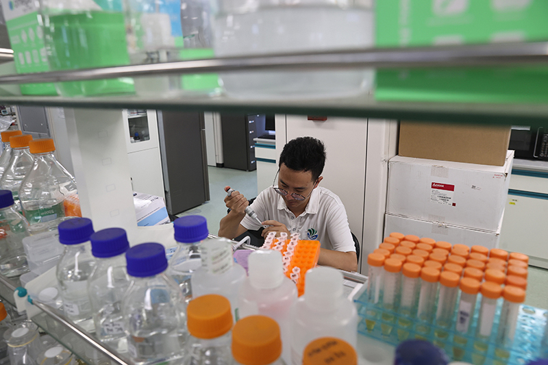 在三亞崖州灣科技城，一名青年科技工作者正在進行科研工作。