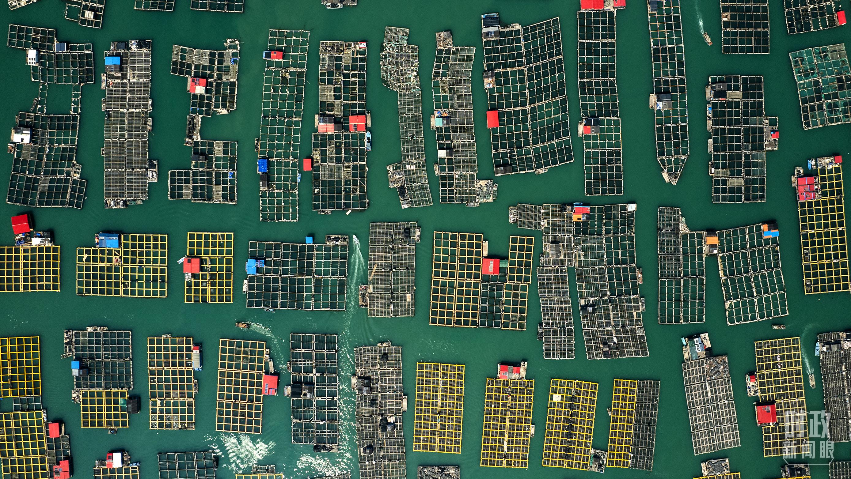 △澳角村。（總臺(tái)記者李晉拍攝）