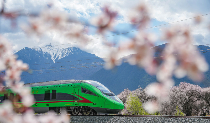 2025年4月2日，復(fù)興號(hào)列車穿行在拉林鐵路林芝段。