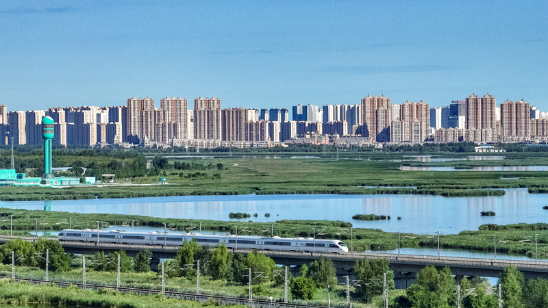 2025年8月17日，一列動車組列車駛過大慶東站。