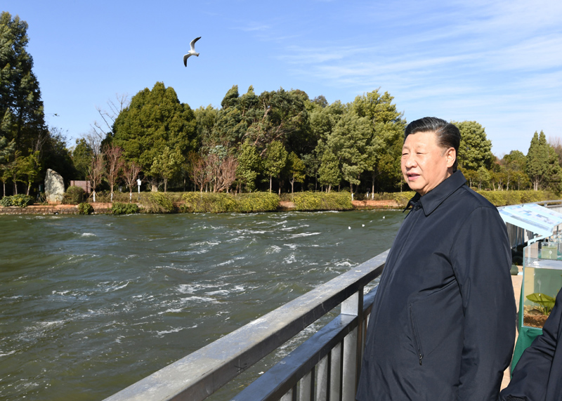 2020年1月20日下午，習近平總書記在云南昆明滇池星海半島生態(tài)濕地考察調(diào)研。