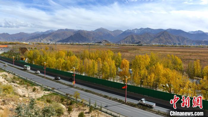 從拉薩北面看拉魯濕地和布達(dá)拉宮?！〗w波 攝