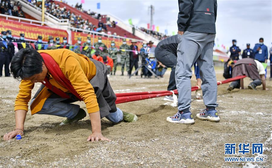 (體育)(4)西藏那曲:賽馬藝術(shù)節(jié)上的比拼
