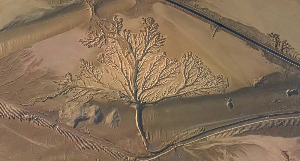 壯觀的“大地之樹”。邊巴多吉攝