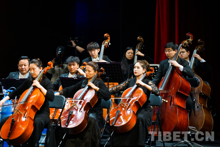 音樂會(huì)2.jpg 音樂會(huì)2.jpg