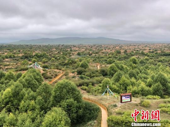 江蘇援青解“生態(tài)題”:援“建”沙漠綠洲幫“凈”地下水源