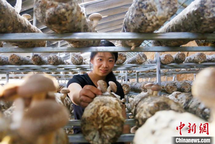 甘肅天?！跋愎椒蚱蕖毕律饺氪ǎ捍笈锢镉板X(qián)景”