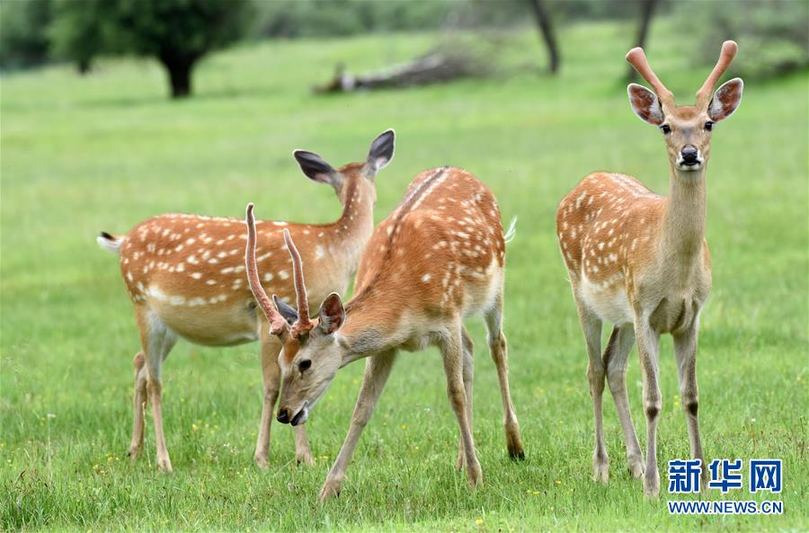 (圖文互動)(3)中國西北角:有個村子叫神座