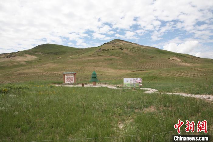 四川省阿壩州若爾蓋縣草原沙化治理后。若爾蓋縣林業(yè)和草原局供圖