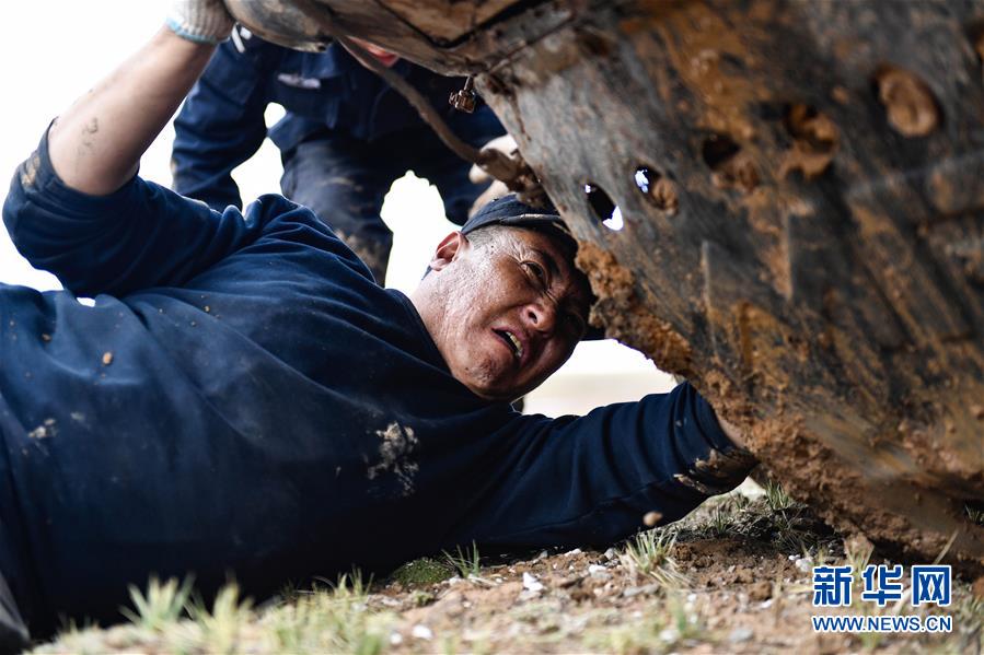 （圖文互動）（1）記者手記：可可西里，“挪”向“藏羚羊大產(chǎn)房”的14個半小時(shí)