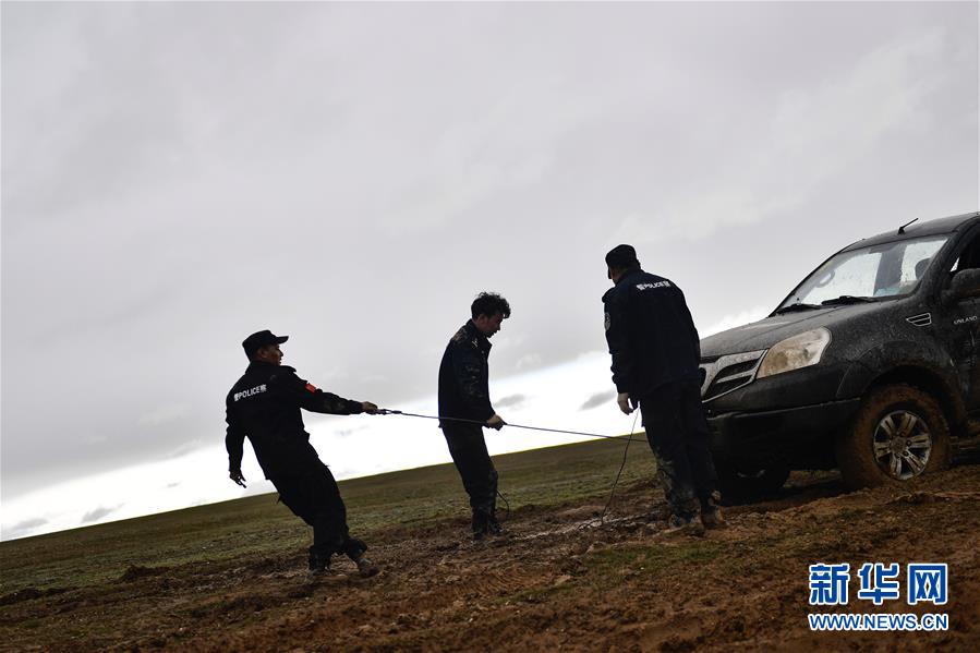 （圖文互動）（10）記者手記：可可西里，“挪”向“藏羚羊大產(chǎn)房”的14個半小時(shí)