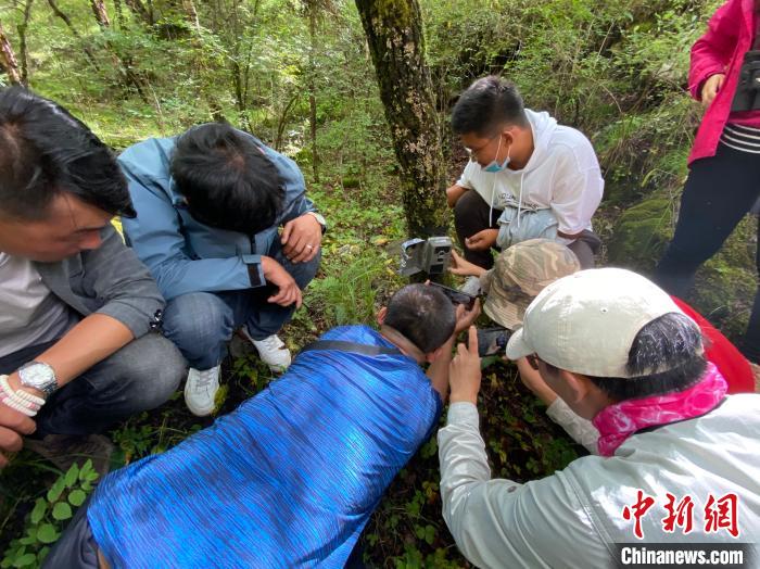 圖為訪客正在查看紅外相機(jī)中的拍攝畫面。　李江寧 攝