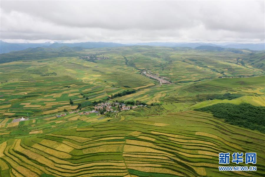 (走向我們的小康生活)(3)飛閱九色甘南香巴拉