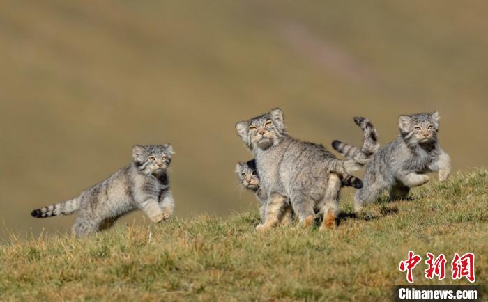 圖為李善元獲獎(jiǎng)作品《當(dāng)媽媽說(shuō)跑步前進(jìn)》?！±钌圃?攝