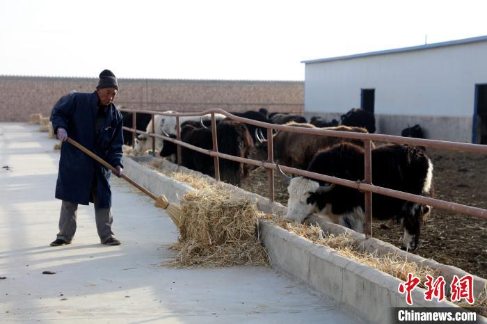 柴達木盆地蓮湖村：讓致富村民生活“?！逼饋? oldsrc=