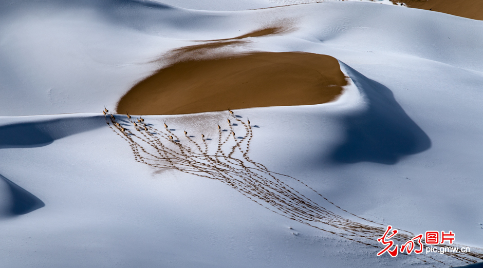 三江源國(guó)家公園正式設(shè)立，這是青海生態(tài)文明建設(shè)的新答卷
