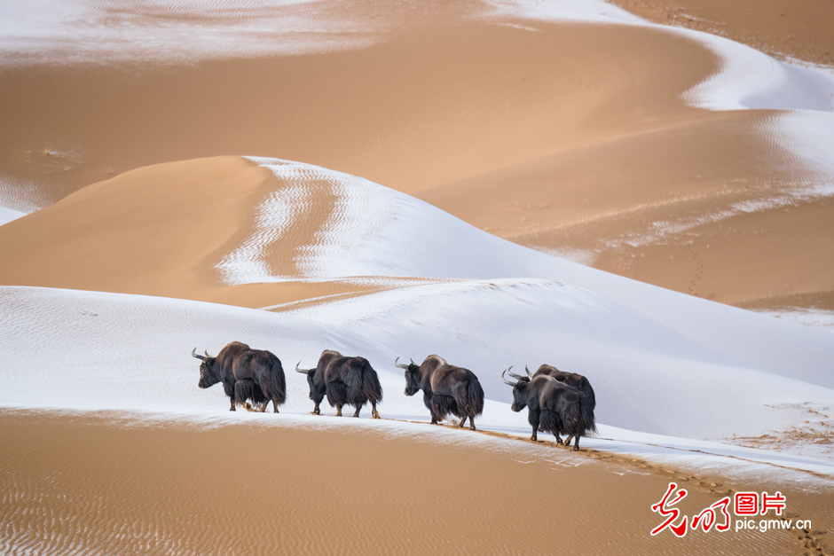 三江源國(guó)家公園正式設(shè)立，這是青海生態(tài)文明建設(shè)的新答卷