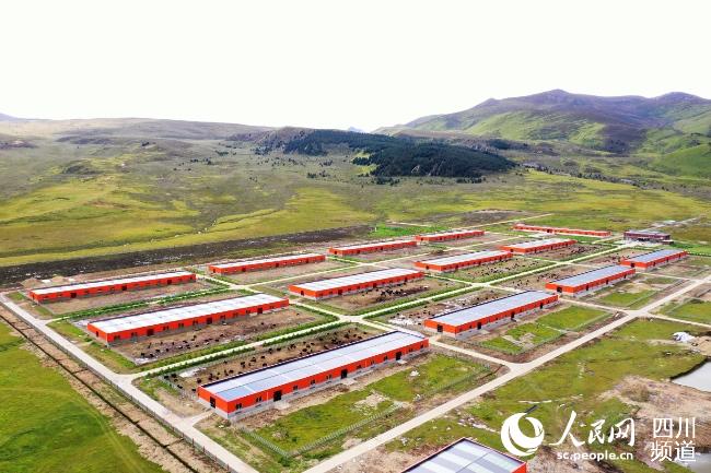 建設(shè)中的理塘縣牦牛產(chǎn)業(yè)園。葉強(qiáng)平攝