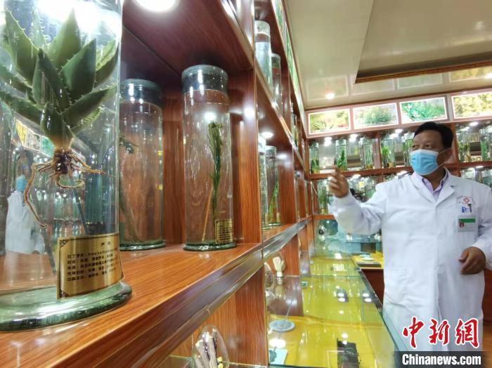 甘肅省甘南藏族自治州碌曲縣藏醫(yī)院副院長(zhǎng)看照加近30年的從醫(yī)工作，堅(jiān)持中藏醫(yī)特色優(yōu)勢(shì)相結(jié)合診療方法?！堟?攝