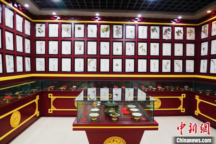 圖為藏藥臘葉標(biāo)本?！●R銘言 攝