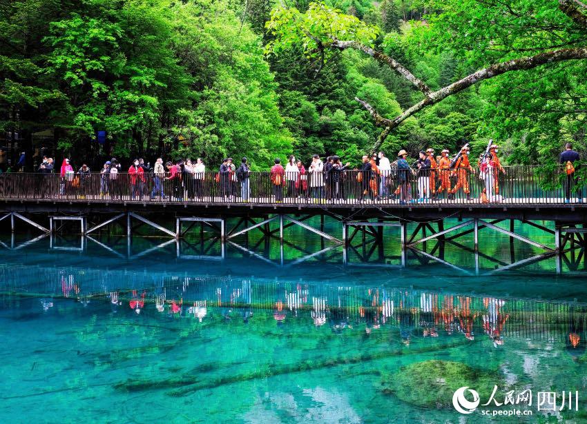 在景區(qū)內(nèi)開展森林防火宣傳和攜裝巡護(hù)。程雪力攝